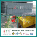 8/6/5 Durable Welded Double Wire Fence (Professional Producer) Made in China